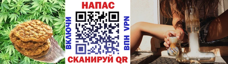 Canna-Cookies конопля  мега вход  Катайск 